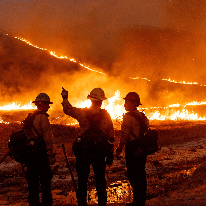 wildfire_1400